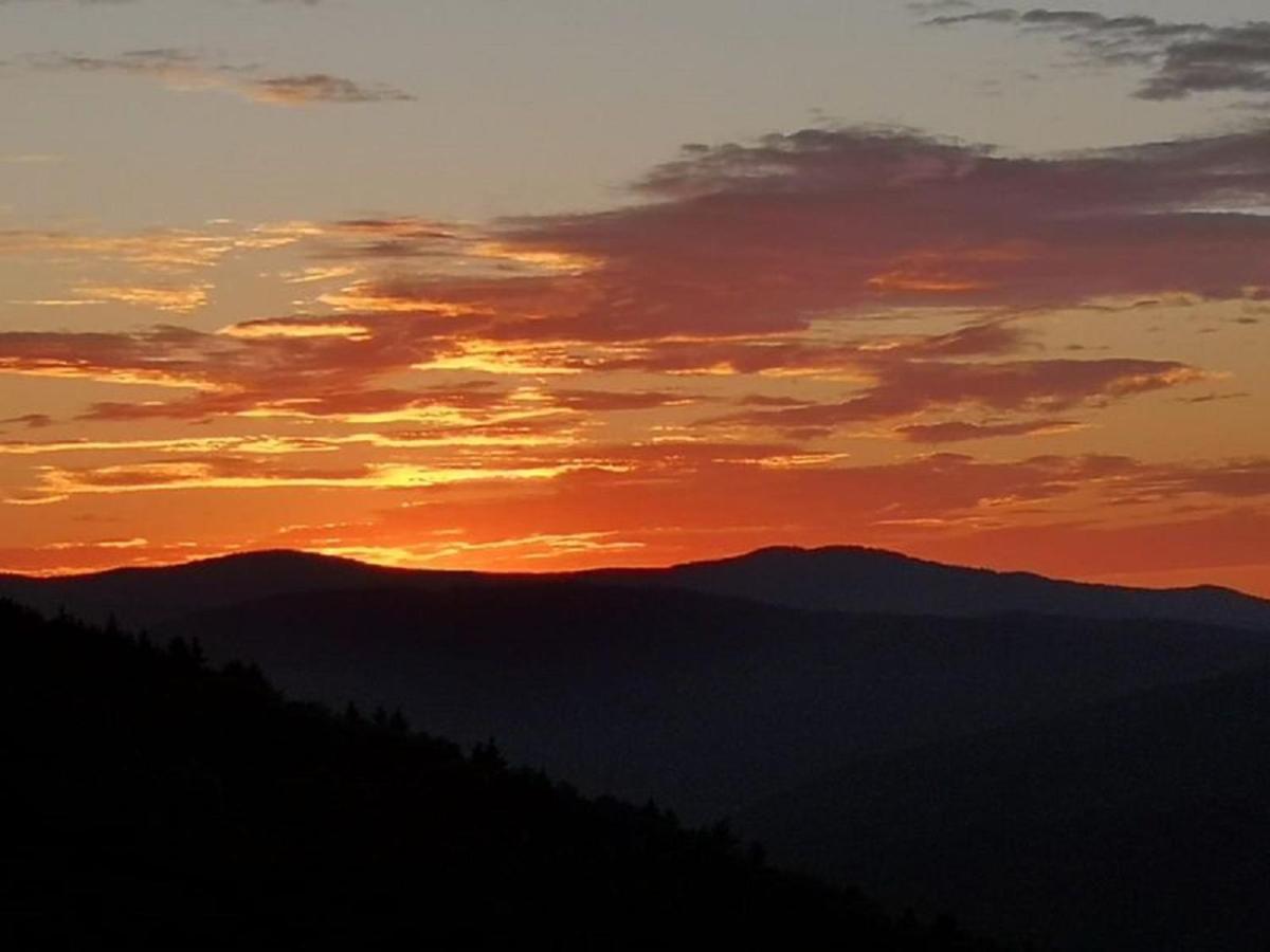 Ferienland Sonnenwald Fewo 46 Und Studio 50 In Schoefweg Bayerischer Wald Eksteriør billede
