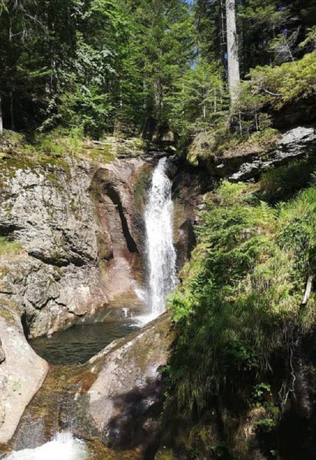 Ferienland Sonnenwald Fewo 46 Und Studio 50 In Schoefweg Bayerischer Wald Eksteriør billede