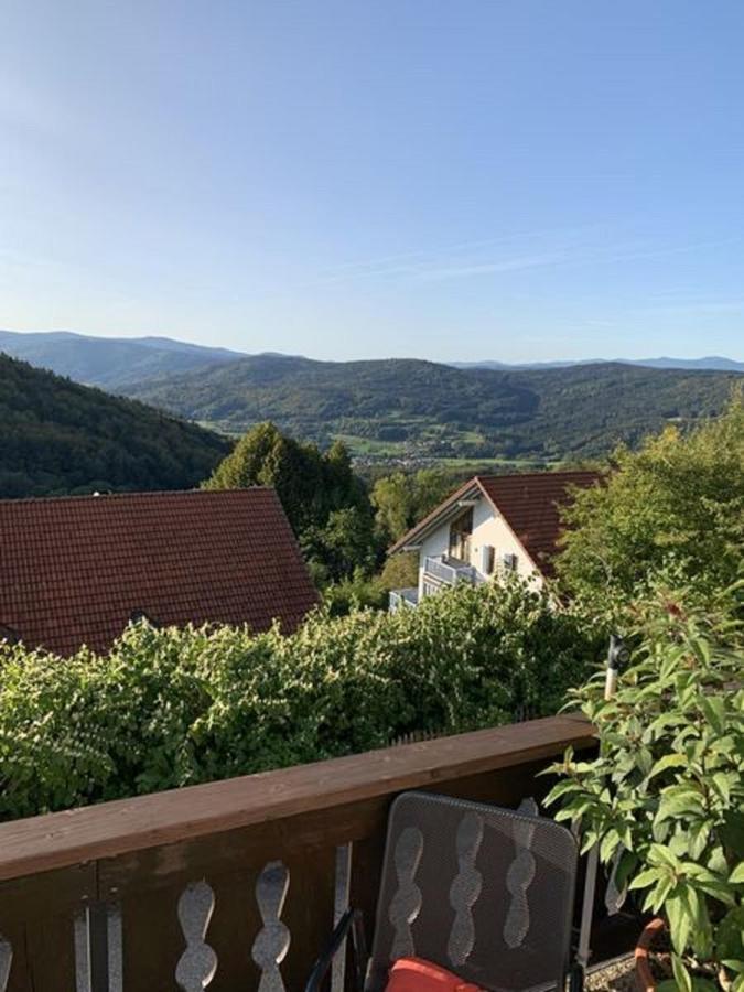 Ferienland Sonnenwald Fewo 46 Und Studio 50 In Schoefweg Bayerischer Wald Eksteriør billede