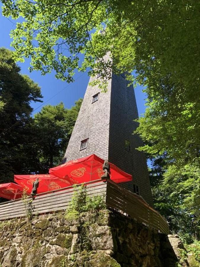 Ferienland Sonnenwald Fewo 46 Und Studio 50 In Schoefweg Bayerischer Wald Eksteriør billede