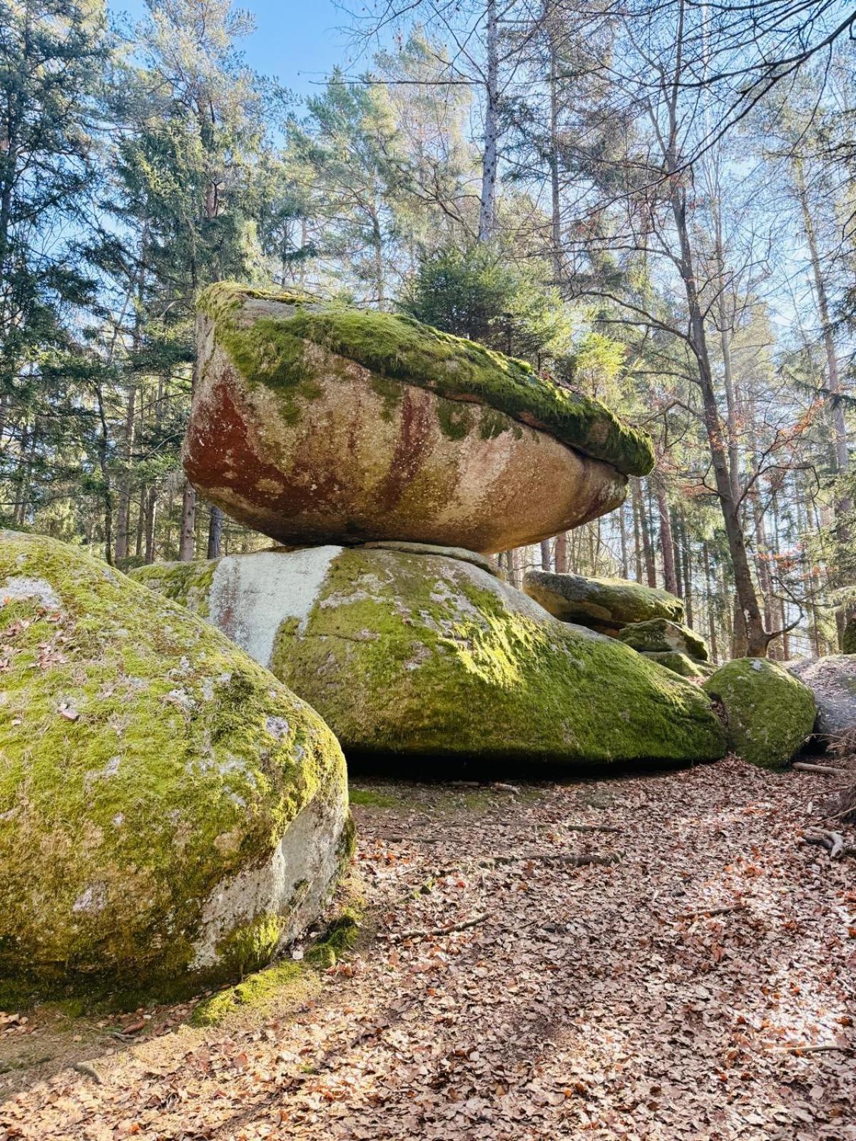 Ferienland Sonnenwald Fewo 46 Und Studio 50 In Schoefweg Bayerischer Wald Eksteriør billede