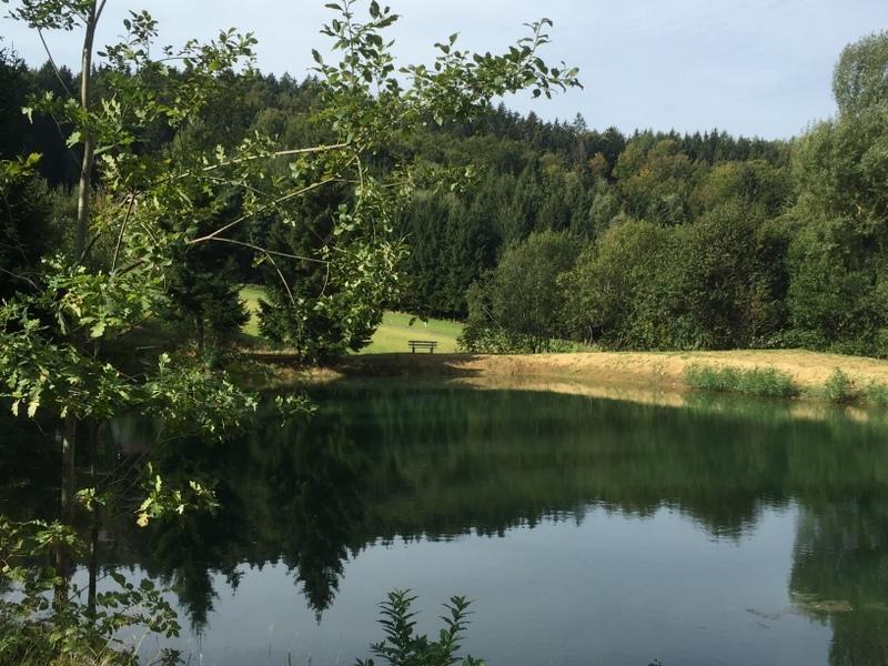 Ferienland Sonnenwald Fewo 46 Und Studio 50 In Schoefweg Bayerischer Wald Eksteriør billede